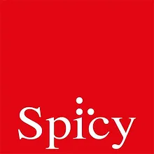 assistencia técnica spicy